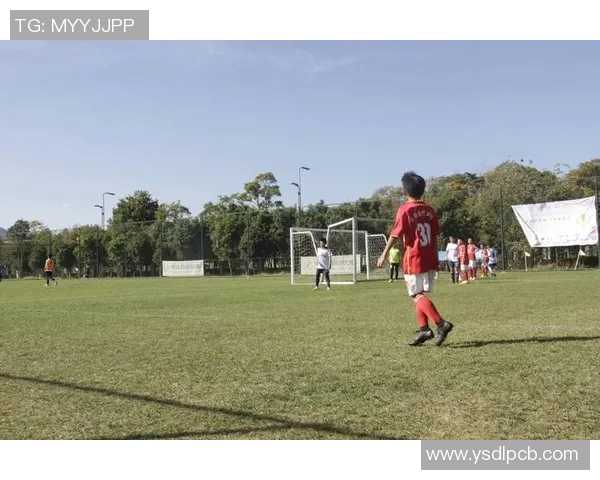 追梦绿茵:足球明星的奋斗与荣耀之路 追梦绿茵:足球明星的奋斗与荣耀之路