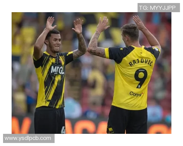 沃特福德主场迎战西布朗争夺英冠积分榜重要位置 沃特福德主场迎战西布朗争夺英冠积分榜重要位置