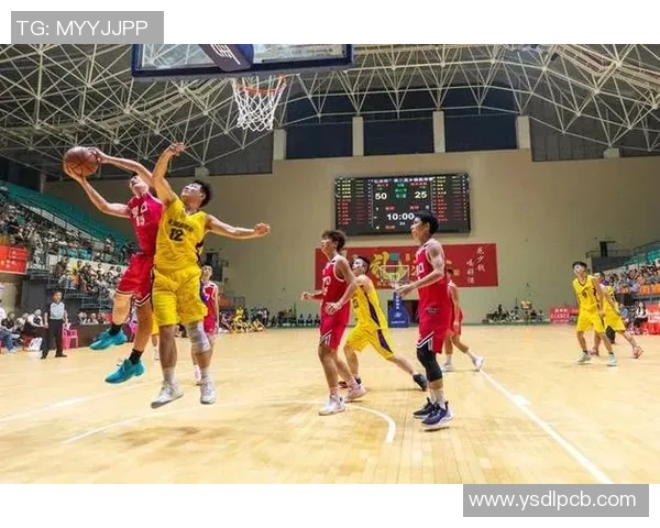 咸宁篮球明星的崛起与挑战探索他们的成长历程与未来发展潜力